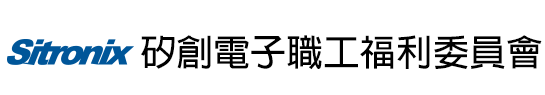 矽創電子股份有限公司